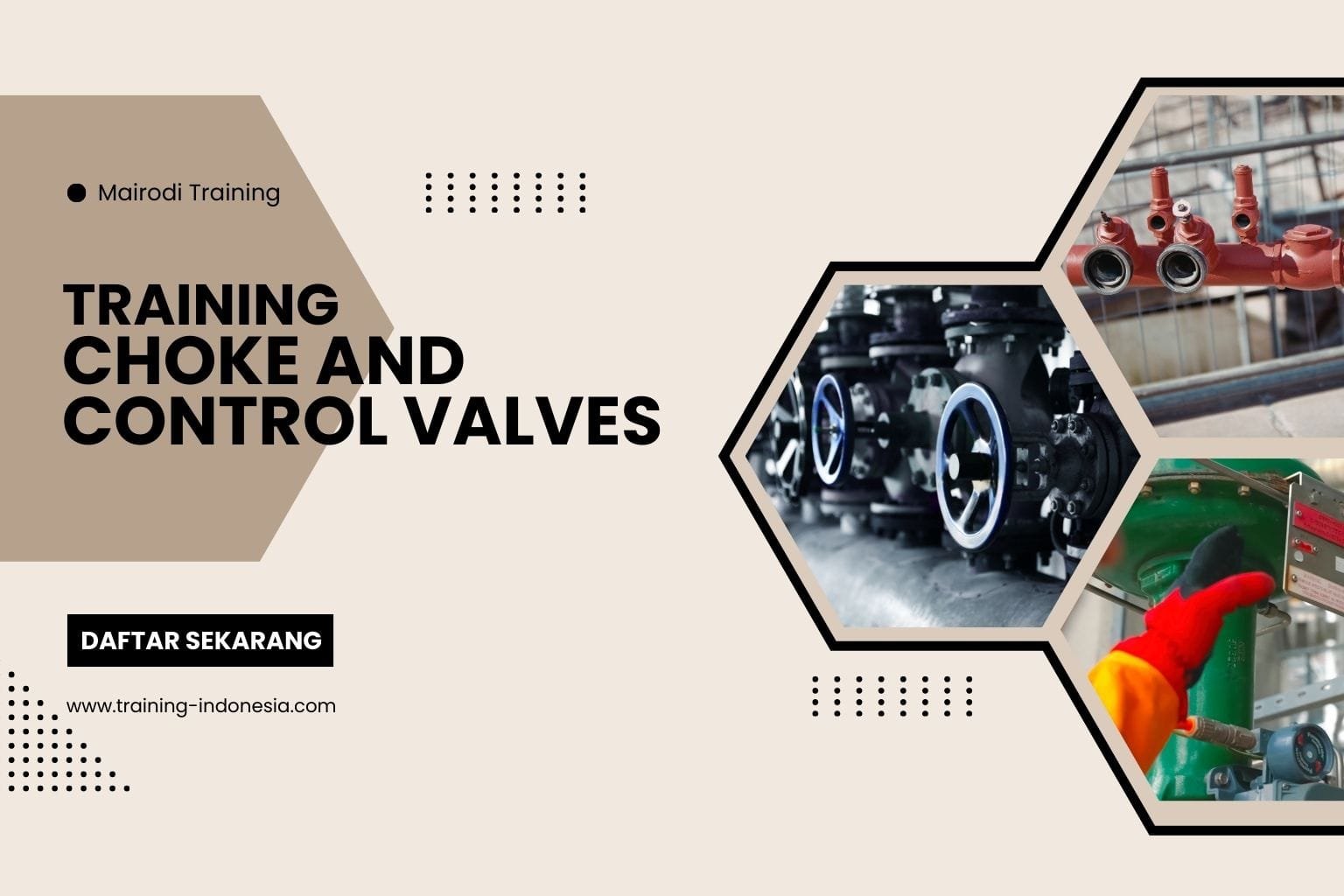 Training Choke And Control Valves