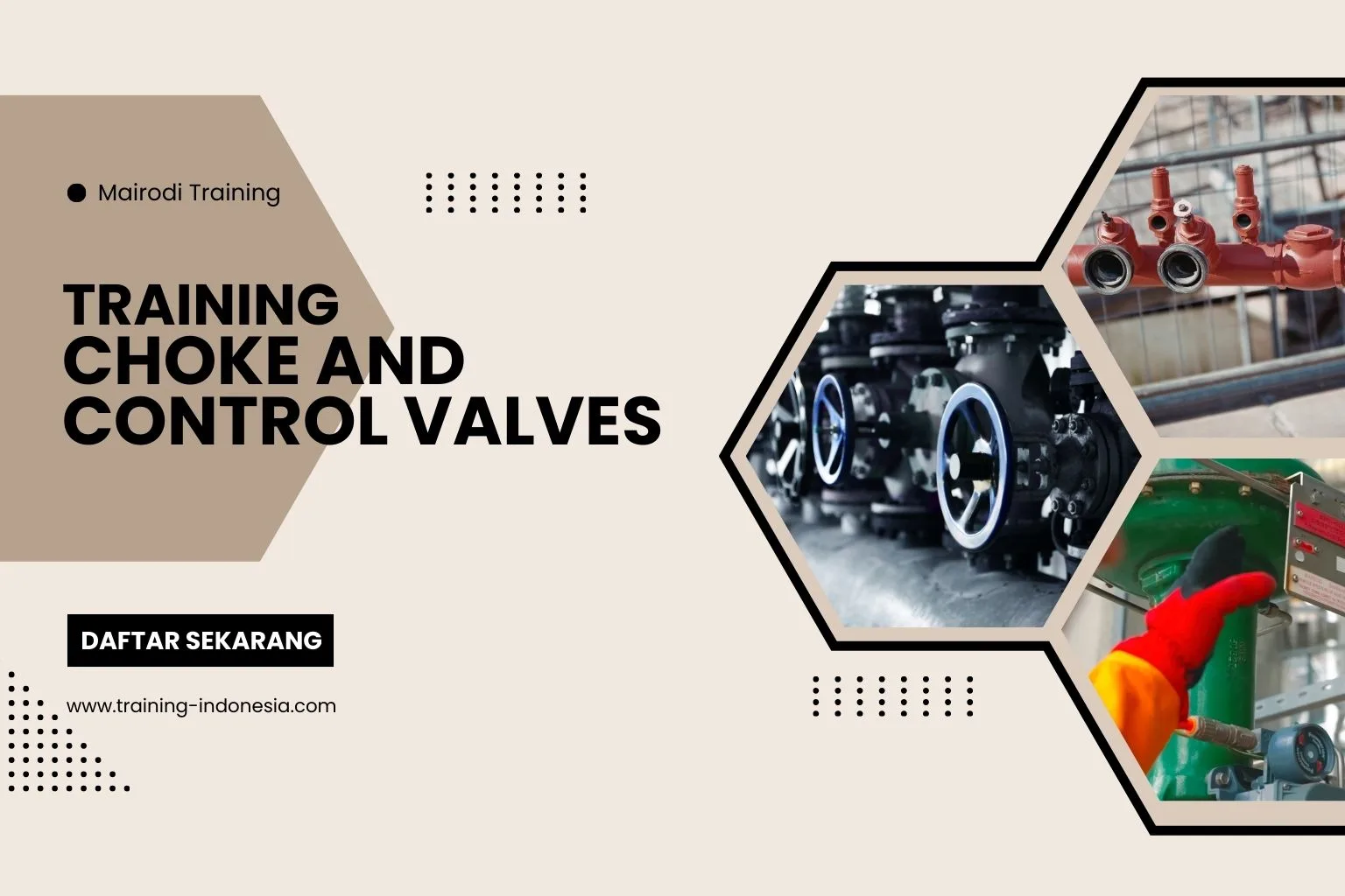 Training Choke And Control Valves