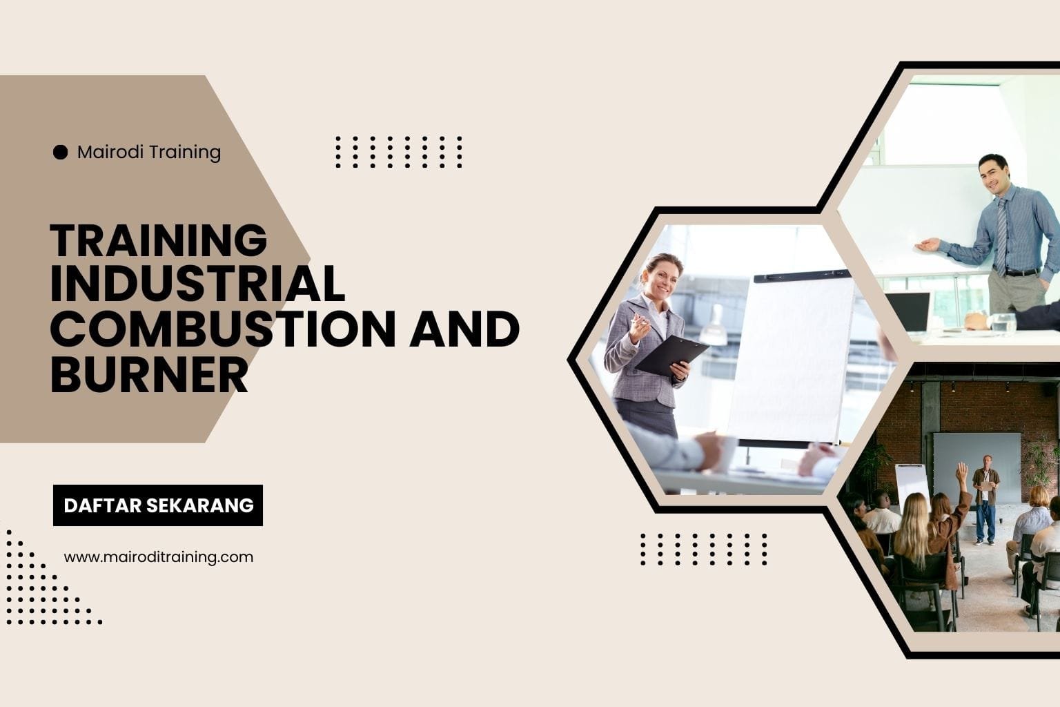 Industrial Combustion And Burner