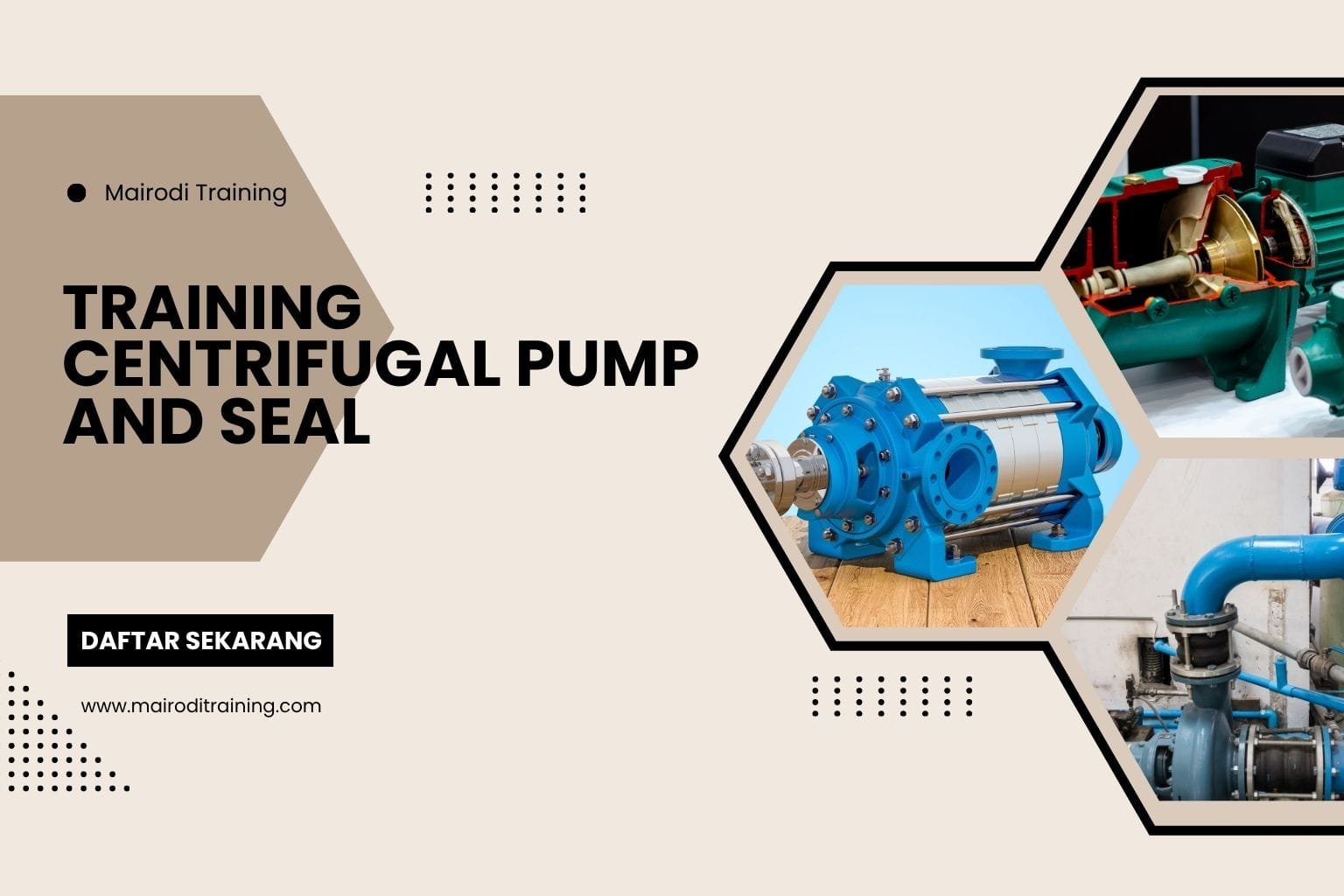 Training Centrifugal Pump And Seal