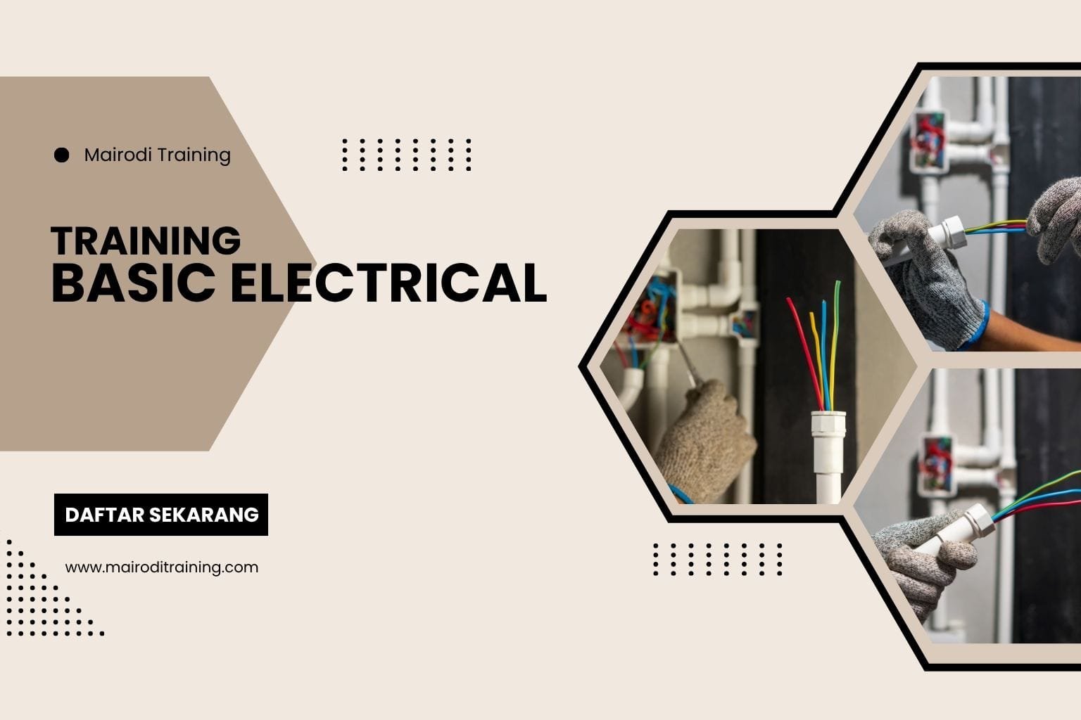 Training Basic Electrical